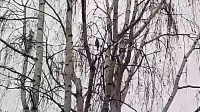 Дело было вечеромделать было нечего.