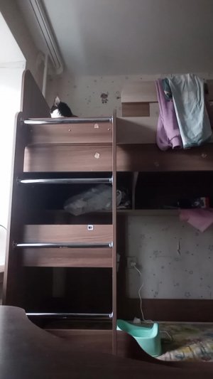 просто зайди //Chaos & Coffee