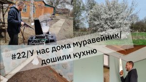 #22/Нашли в доме муравейник, дошили кухню,борьба с хмелем продолжается