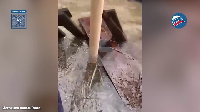 Герой Дагестана: мужчина спас коров во время наводнения, поселив их в своем доме с дорогим ремонтом