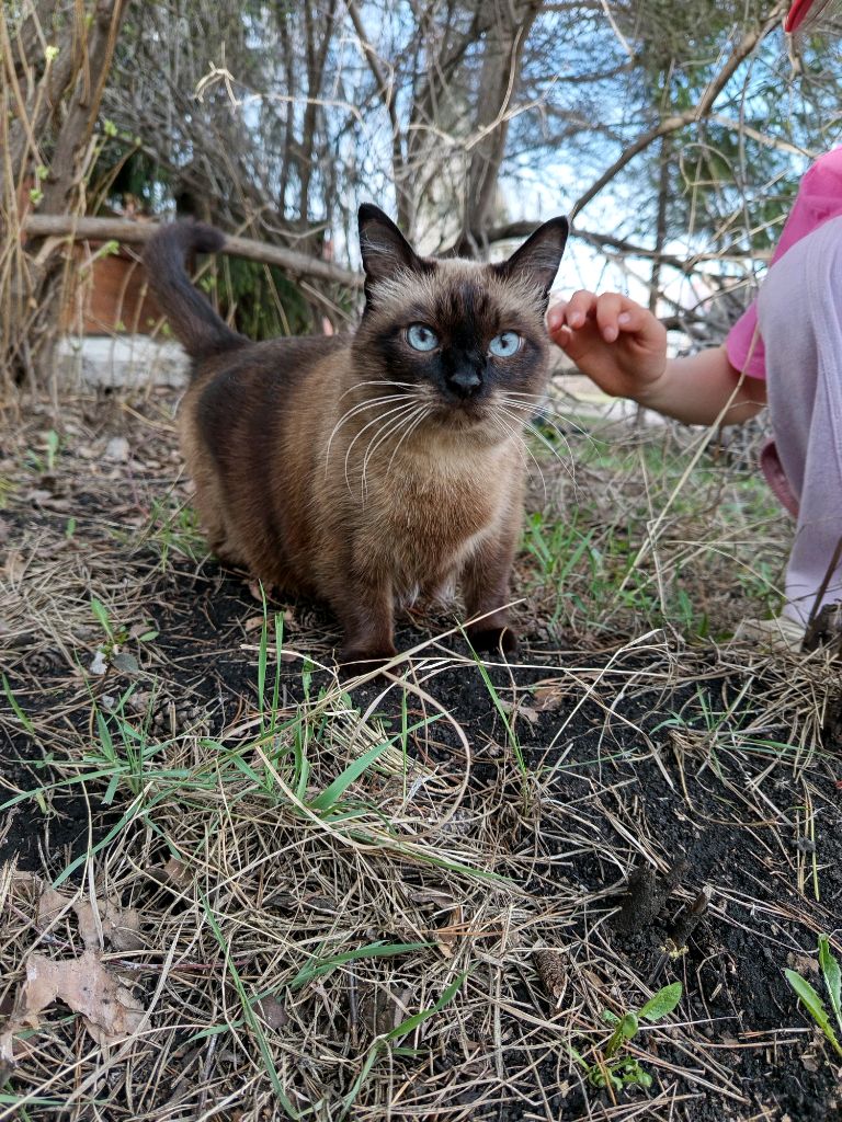 игра в комп