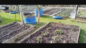 Отвечаю на вопрос, как размножить орхидею. Выбираю на «Вайлдберриз» культиватор.