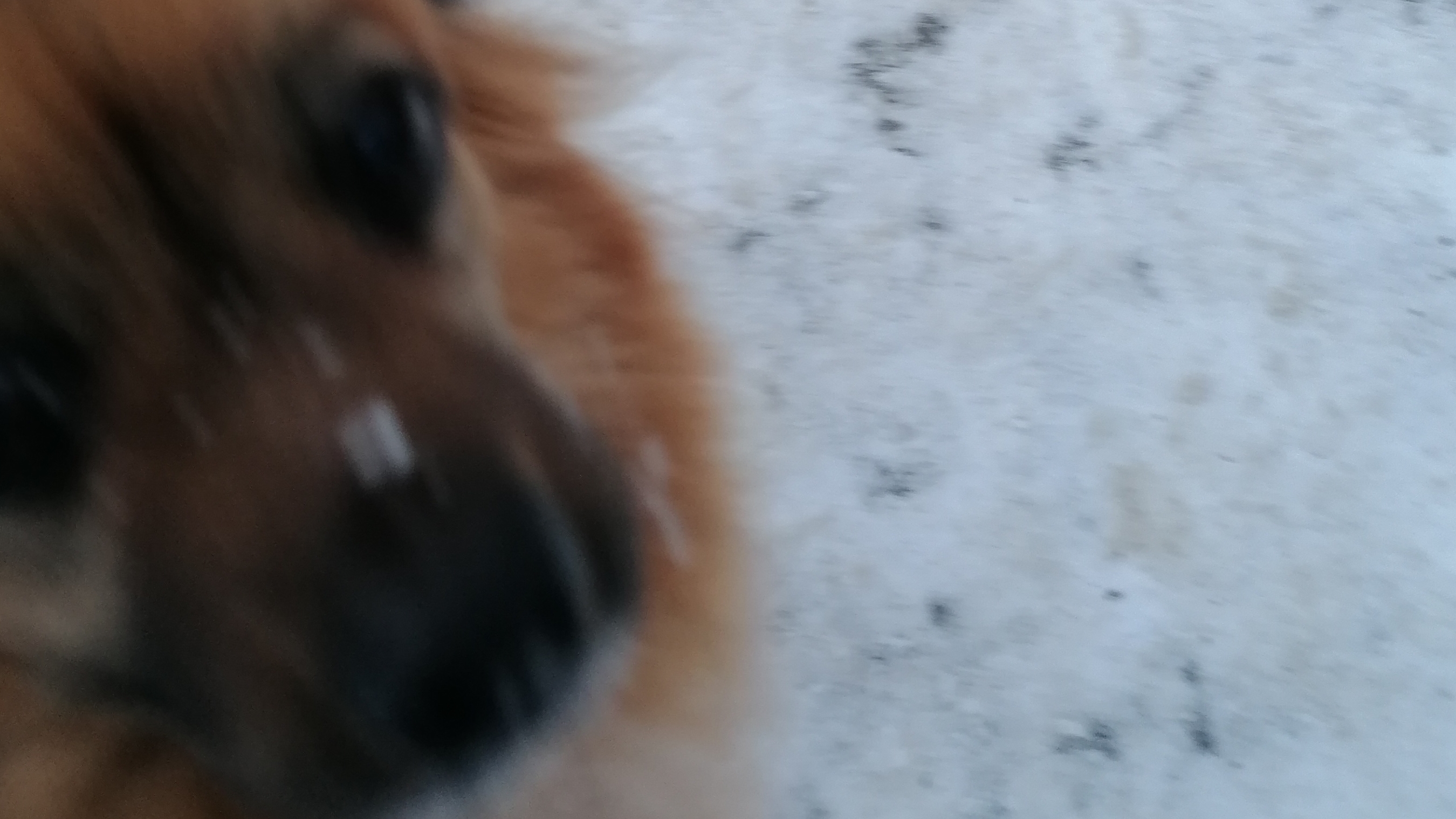 VID_20260322_161955.mp4