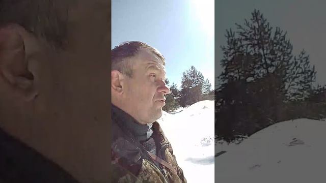 Брожу по заброшенной деревне!!! Хорошее место для пасеки.