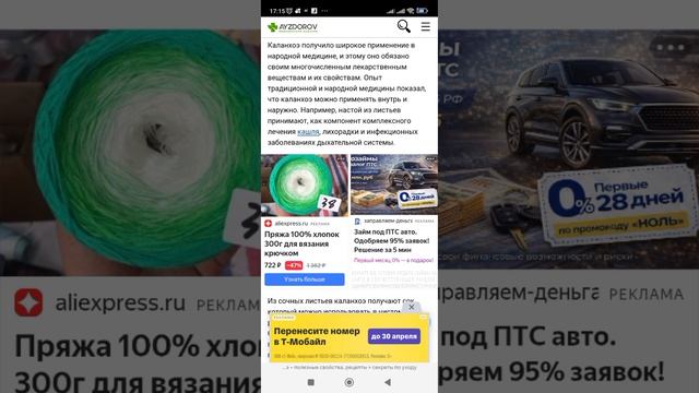 Полезные свойства Каланхое и как применять,видео 1 🌿🪴