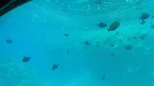 Катаемся на подводной лодке на Красном Море. Submarine. Egypt