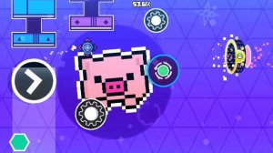 pixel pig?