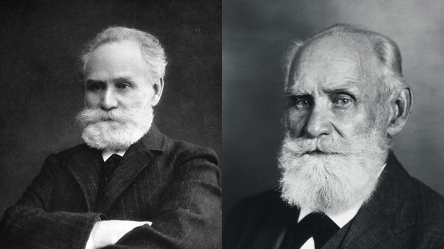 Собаки Павлова: Трогательная и жестокая история великого эксперимента