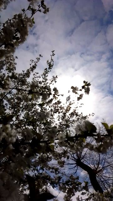 Весна пришла!