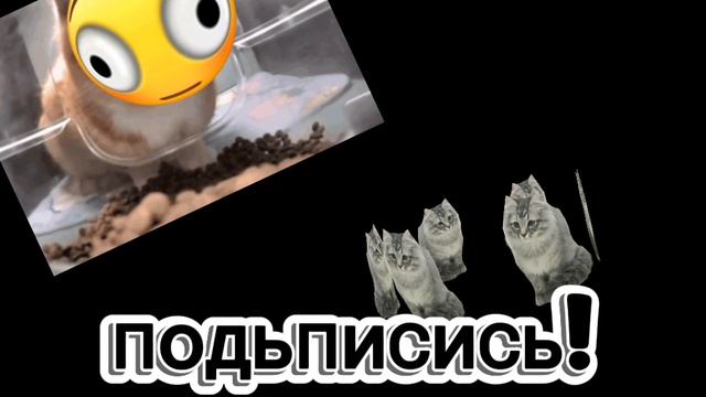 хᴇхᴇхᴇхᴇх ыхыххых/ᴛиᴨо ᴩᴇᴋᴧᴀʍᴀ дᴧя ᴋᴀнᴀᴧᴀ