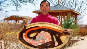 Куринные яички и огромные угри тушёные в пиве. Дядюшка сельский гурман.