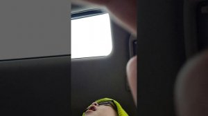 Пробуем арбузную гуаву