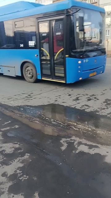 адмиралик и нефазик.