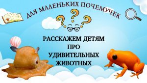 Про удивительных животных: Осьминога-блинчика, пчелу Люцифер и лягушку президента Лулы