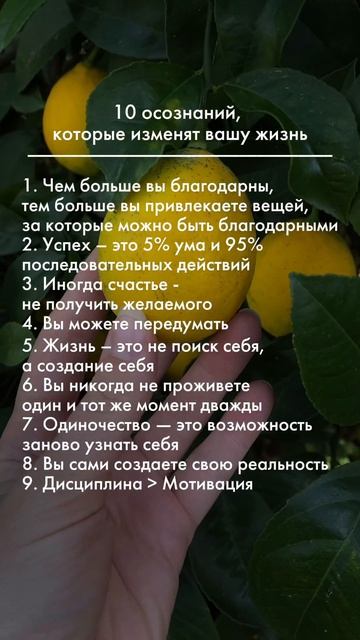 Это может изменить твою жизнь