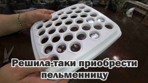 Обзор покупок с маркетплейсов: саженцы малины и крыжовника, пельменница, садовые препараты