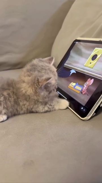 Поколение айпадов