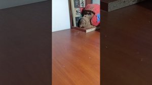 the вкусняшки 😋