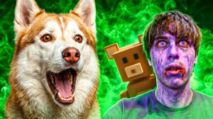 НАШ МЧ ФИОЛЕТОВЫЙ ЗОМБИ!! Super Bear Adventure! Хаски Бублик Говорящая собака