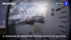 В Словакию возобновили поставки нефти по «Дружбе»