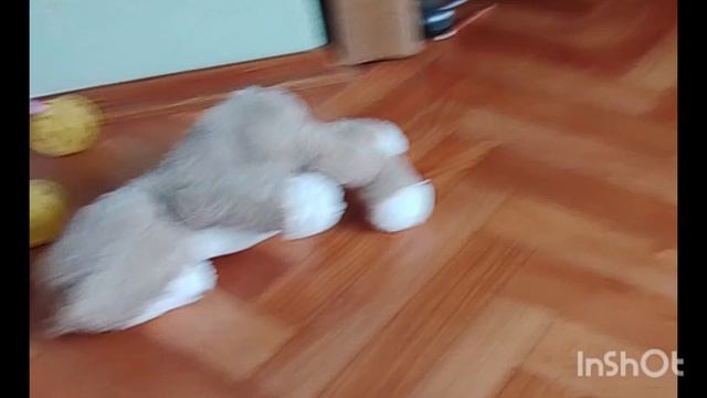 Вася и мышь