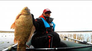 КАРАСЬ ПОШЕЛ... ПЕРВЫЕ ЛАПТИ.