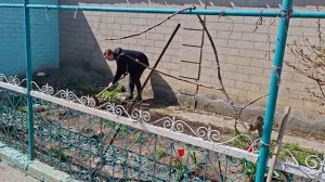 ОфициальноЯ  - ПОСАДИЛА ЗЕЛЕНЬ