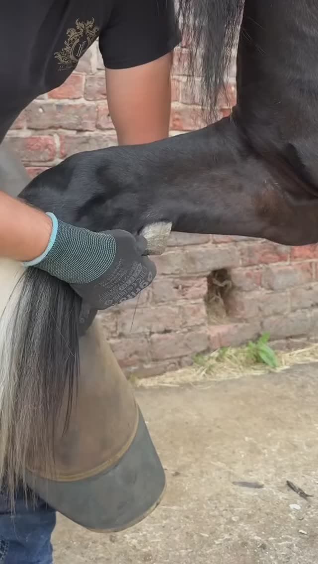 Коваль работает