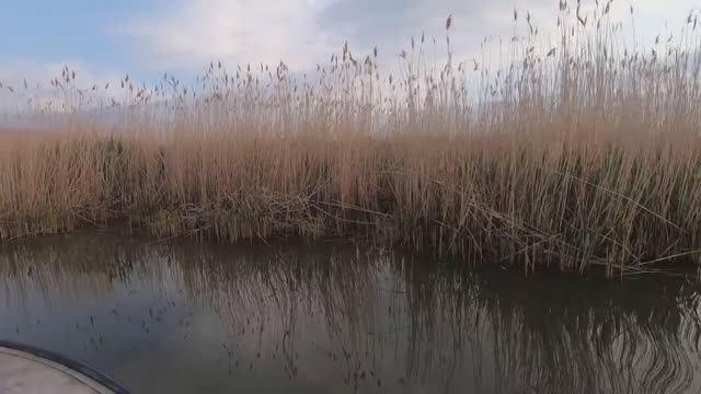 РЕЙД ПО БРАКОНЬЕРСКИМ СЕТЯМ ЧАСТЬ 15