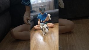 Робораптор от WowWee Roboraptor 🦖👍🏻🔥