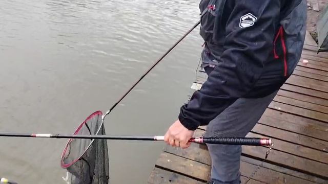 Карпик клюёт.Основной водоём