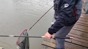 Карпик клюёт.Основной водоём