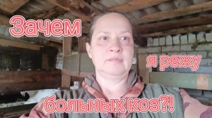 Молочные козы на мясо 🥩 Покупка с озона оправдала ожидания 👍