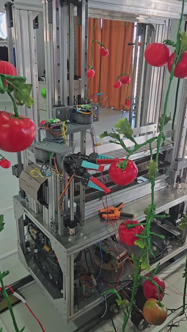 Срыв 3 шт тест №17, робот для сбора томатов в тепличных комплексах