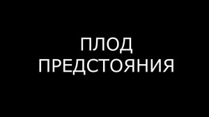 ПЛОДЫ ПРЕДСТОЯНИЯ