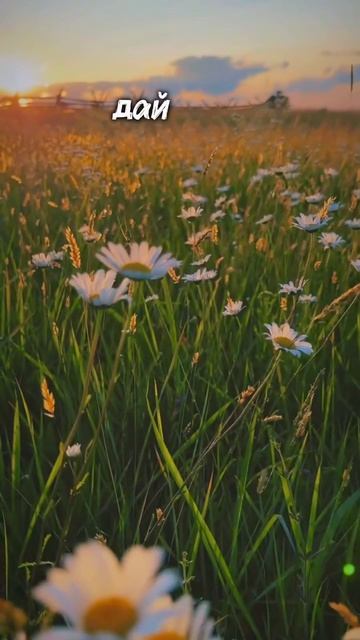 Доброе послание