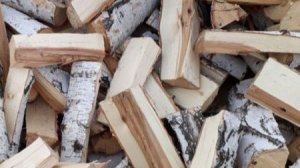 ШУТКА 💥    КОШМАР💥  КОШМАР💥   ПОДПИШИСЬ💯