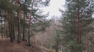 Кризис. Пристегните ремни!