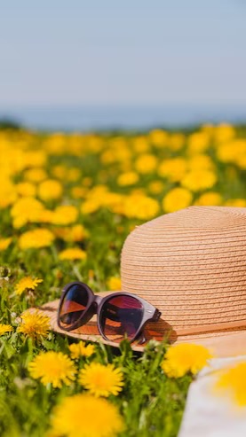 Летний вайб🌼💛