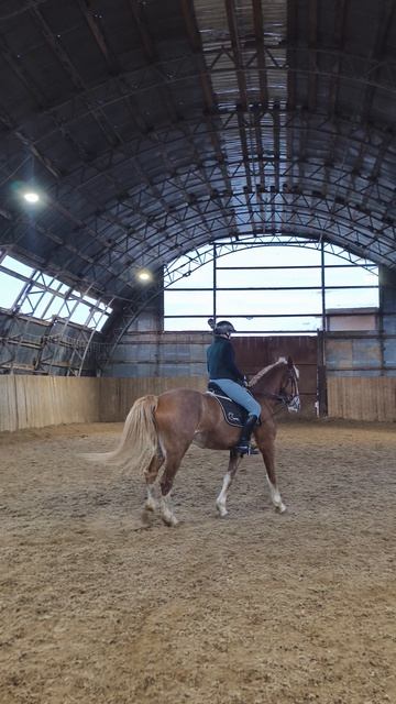 Анна и Каспер, простая перемена на галопе в манеже.