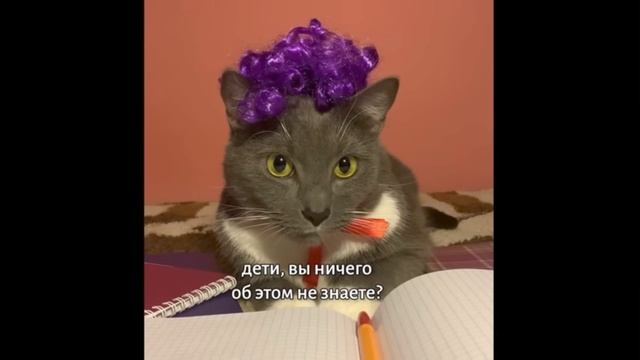 Видео с канала котинет: ЕСЛИ БЫ КОТИКИ ХОДИЛИ В ШКОЛУ-НОВОГОДНИЙ ВЫПУСК