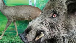 Музей в Волоконовке 23.04.26.