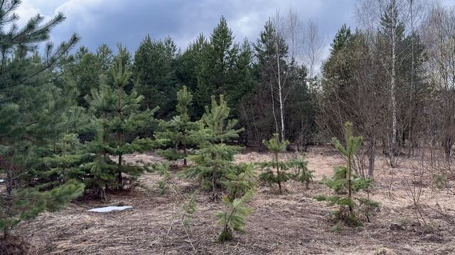 рп. им Цюрупы, ул Луговая