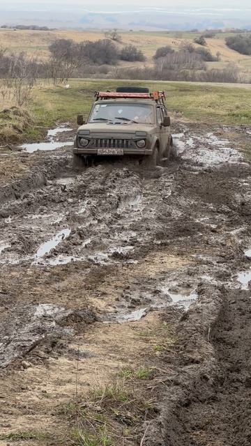 Нива 💪💪💪