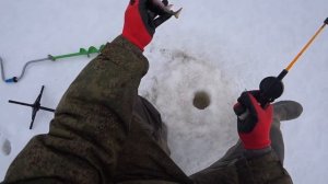 Кордон _№ 13_ Поход на ламбушку. Проверка жерлиц.Заключительная серия.