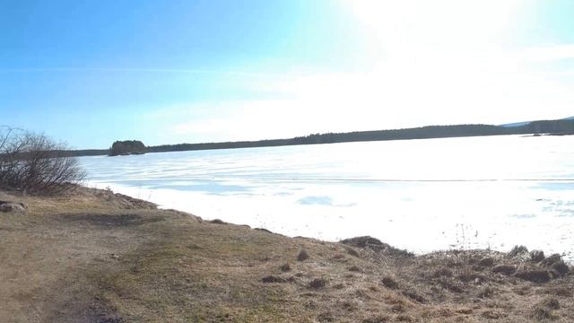 Уехал Город в Лес