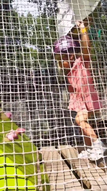 ТасяПитер в верёвочном парке на Елагином острове