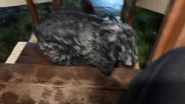 СОЧИ ГОРНОЕ ЛОО УТРО 23.04.2026