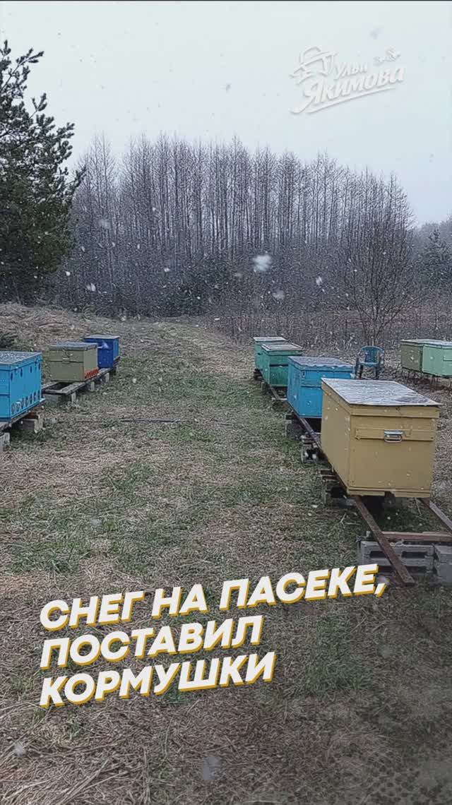 Снег на пасеке, поставил кормушки