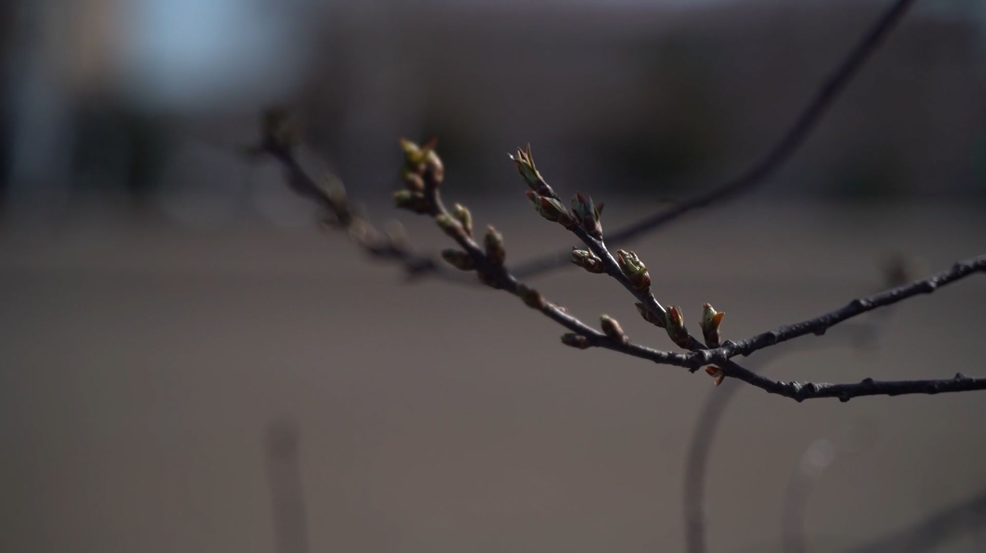 Какая весна в Оренбуржье